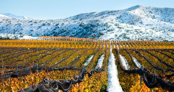 BLACK NOVEMBER: Saboreie Chocolates e Vinhos em MENDOZA