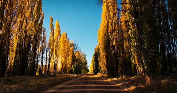 BLACK NOVEMBER: Saboreie Chocolates e Vinhos em MENDOZA