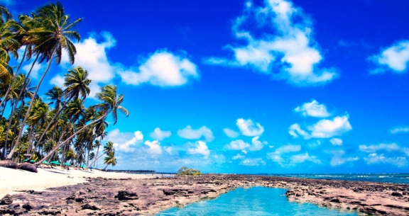 PORTO de GALINHAS em VOO DIRETO!!