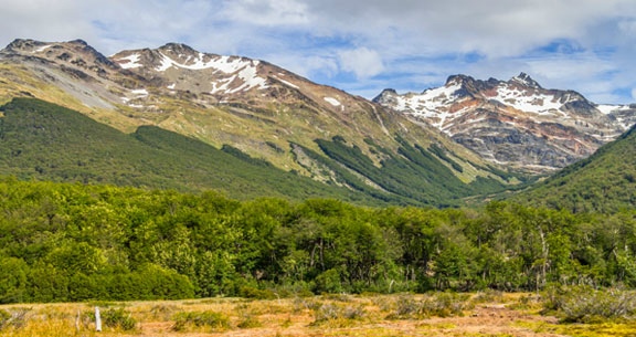 BLACK NOVEMBER: EL CALAFATE e USHUAIA!