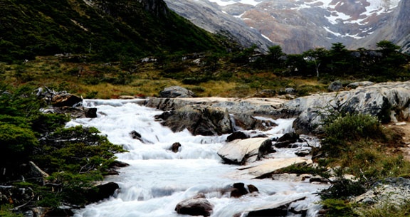 BLACK NOVEMBER: EL CALAFATE e USHUAIA!