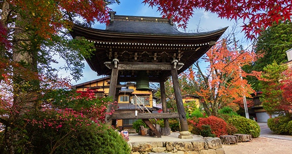 BLACK NOVEMBER: Viva o JAPÃO na FLORAÇÃO DAS CEREJEIRAS!