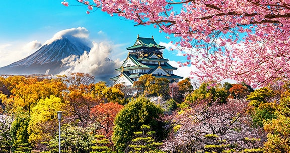 BLACK NOVEMBER: Viva o JAPÃO na FLORAÇÃO DAS CEREJEIRAS!