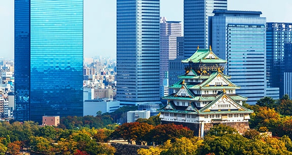 BLACK NOVEMBER: Viva o JAPÃO na FLORAÇÃO DAS CEREJEIRAS!