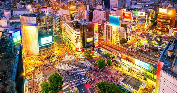 BLACK NOVEMBER: Viva o JAPÃO na FLORAÇÃO DAS CEREJEIRAS!