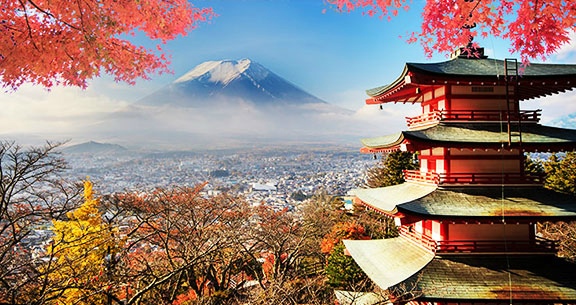 BLACK NOVEMBER: Viva o JAPÃO na FLORAÇÃO DAS CEREJEIRAS!
