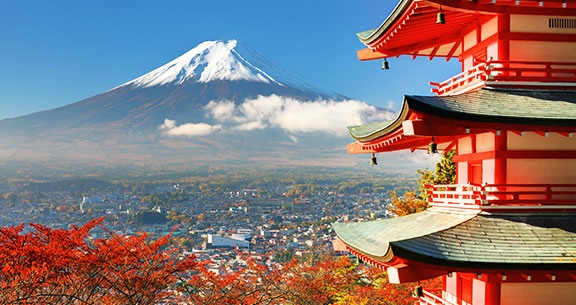 BLACK NOVEMBER: Viva o JAPÃO na FLORAÇÃO DAS CEREJEIRAS!