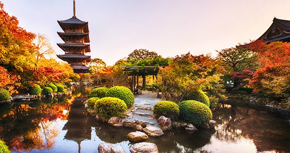 BLACK NOVEMBER: Viva o JAPÃO na FLORAÇÃO DAS CEREJEIRAS!
